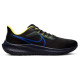 Nike Pegasus 39